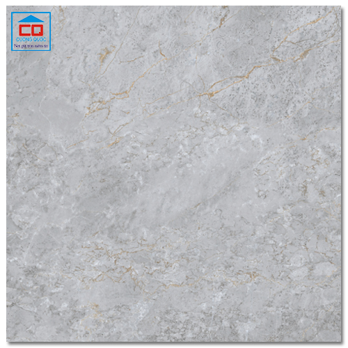 Gạch lát sàn granite Arizona 80x80 AZ9-GP8802