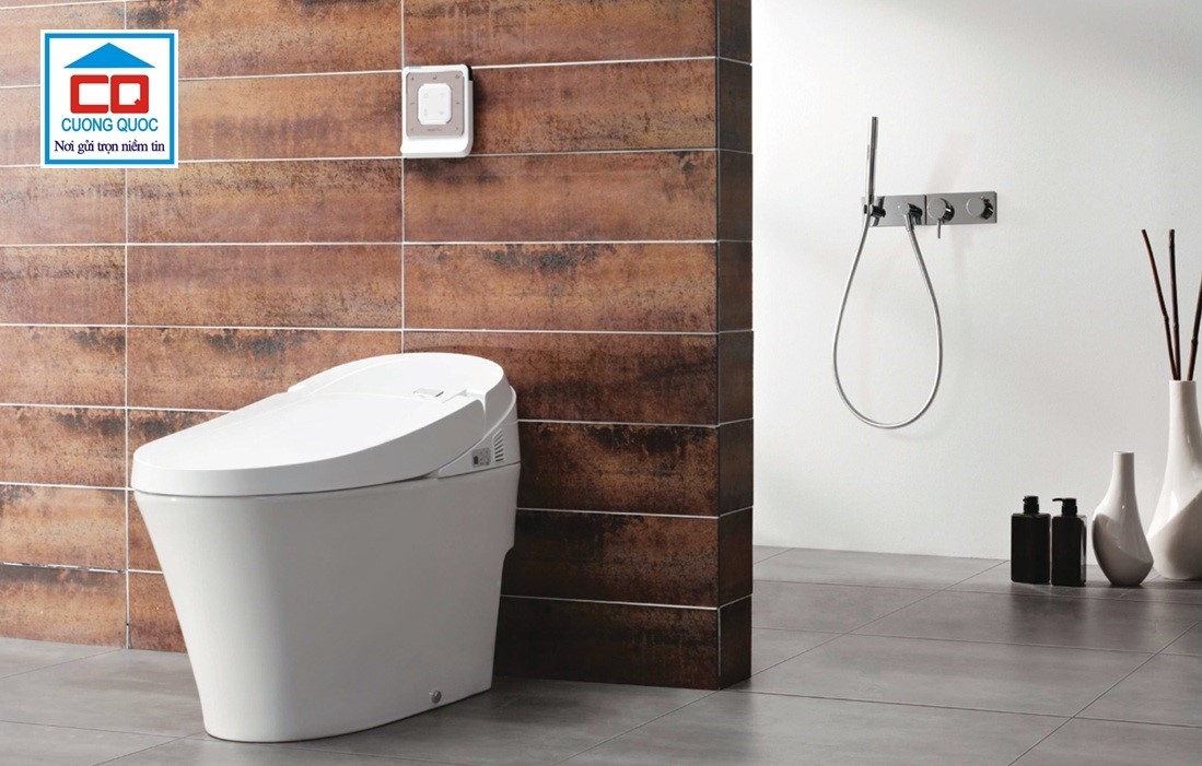 bồn cầu viglcera 1 khối