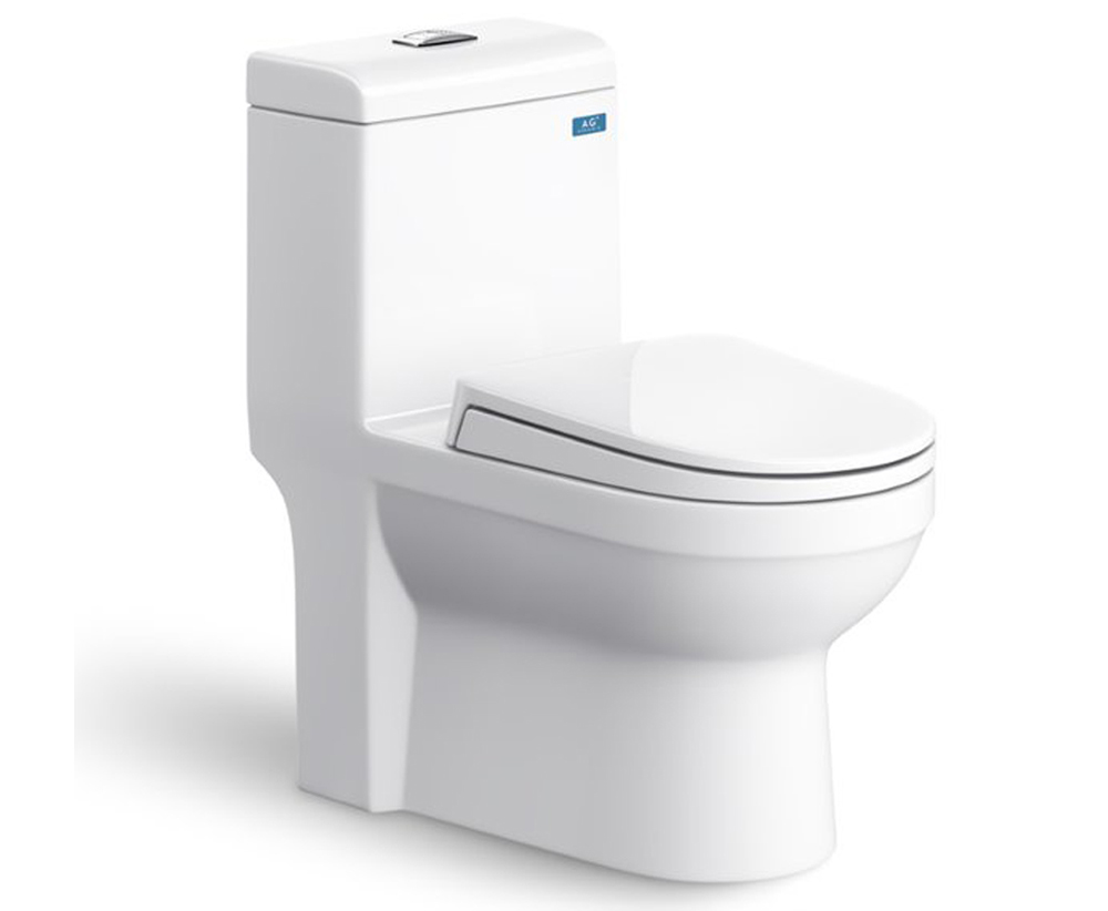 Bàn cầu 1 khối Viglacera Sanfi S304
